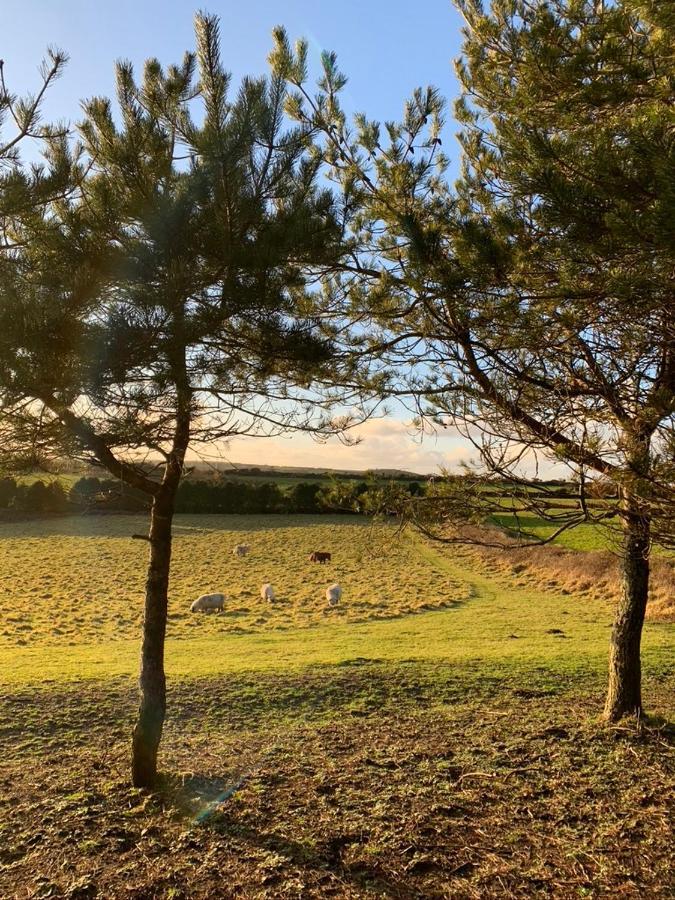 Silverspring Hideaways القسطنطين المظهر الخارجي الصورة